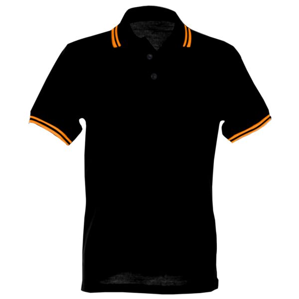 Classic Fit Tipped Collar Polo Thumbnail