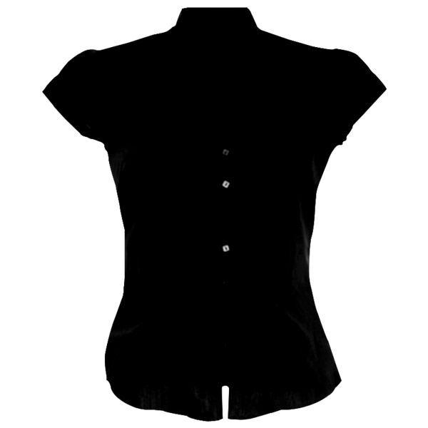 Tailored Fit Cap Sleeve Mandarin Collar Blouse Thumbnail